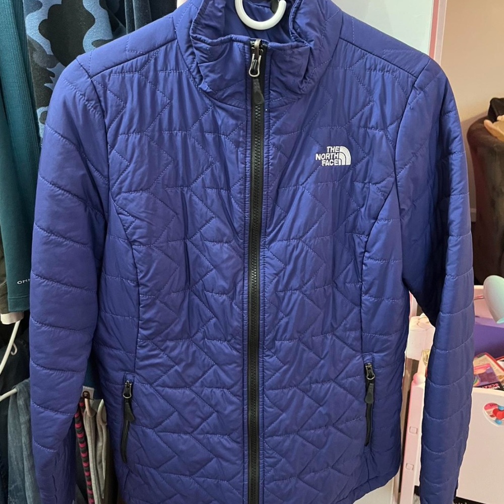 The North Face Blue Quilted Jacket